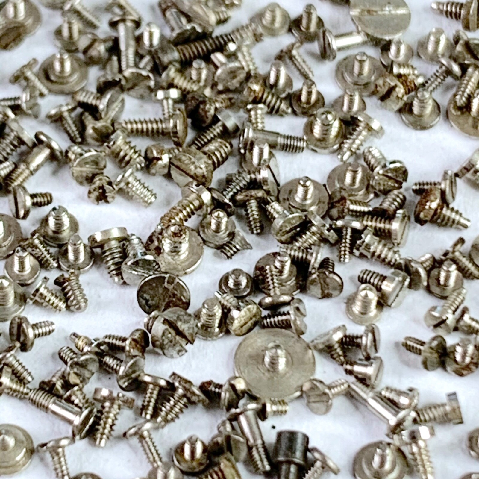 100 Watch Screws Tiny Steampunk Altered Art Parts Watchmaker Lot Repair Wrist