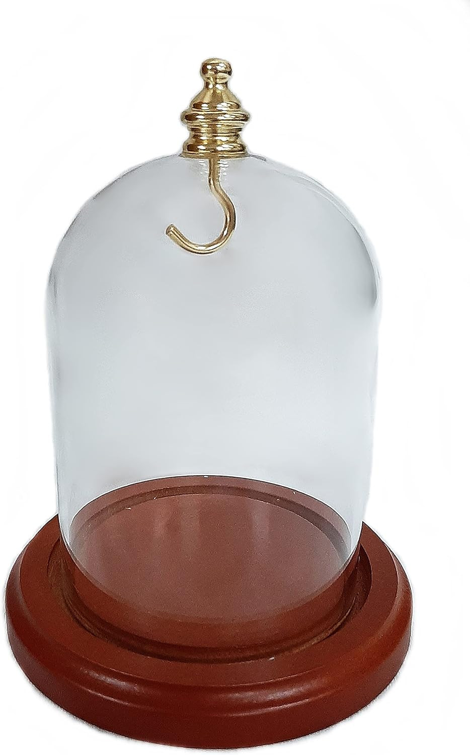 3 X 4 Pocket Watch Glass Display Dome Cloche with Gold Knob and Hook with Walnut