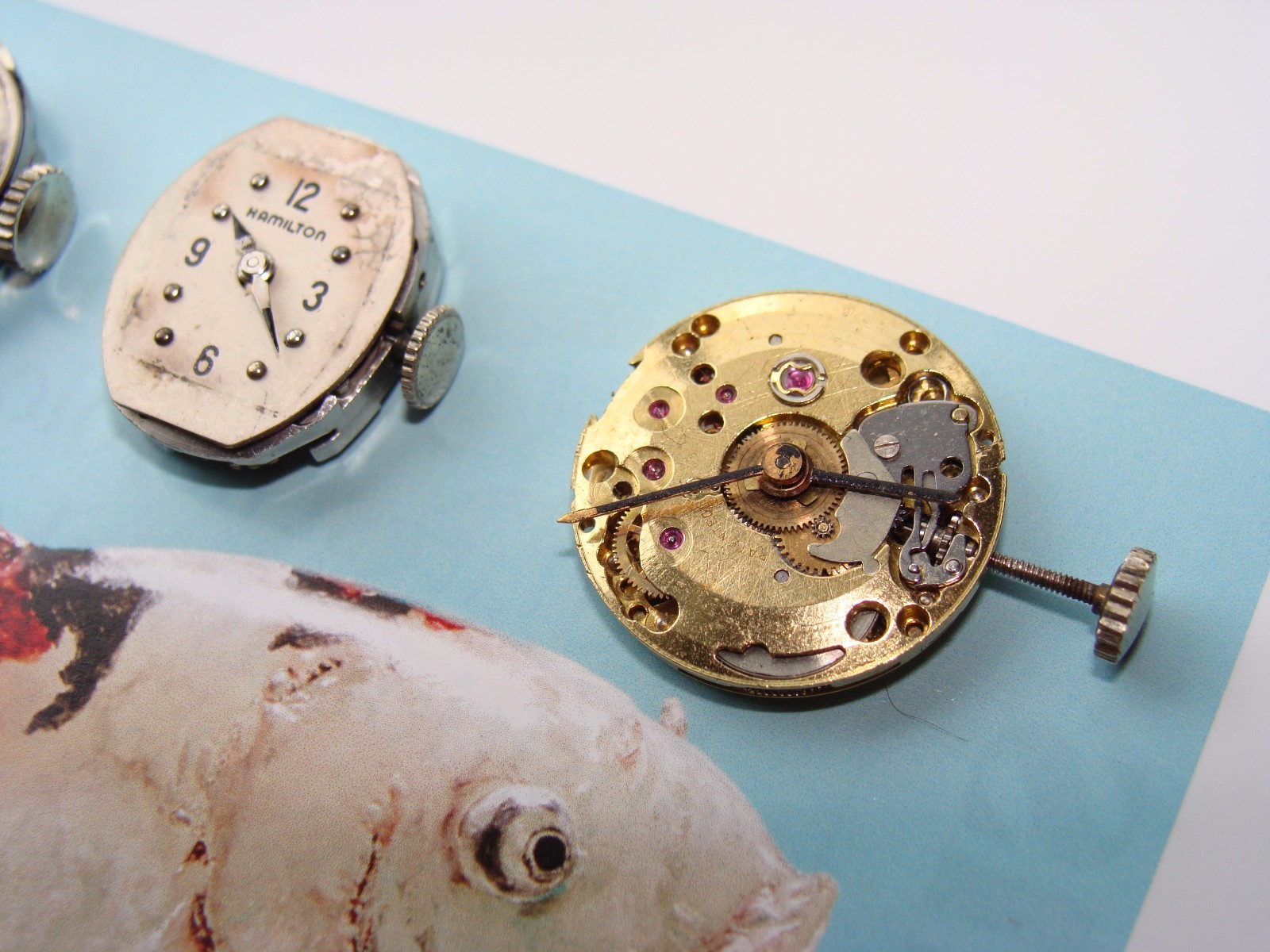 Vintage Watch Movements Lot – Longines Hamilton Bulova ETA 2512 Wittnauer 5D FHF