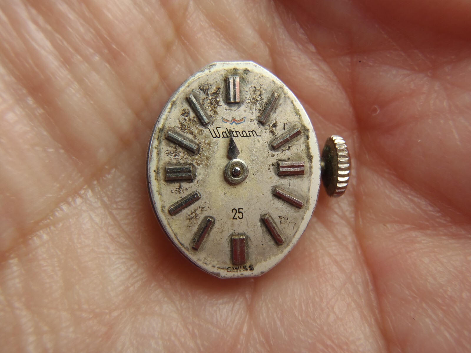 WALTHAM 25 Jewel Manual Winding Movement Running