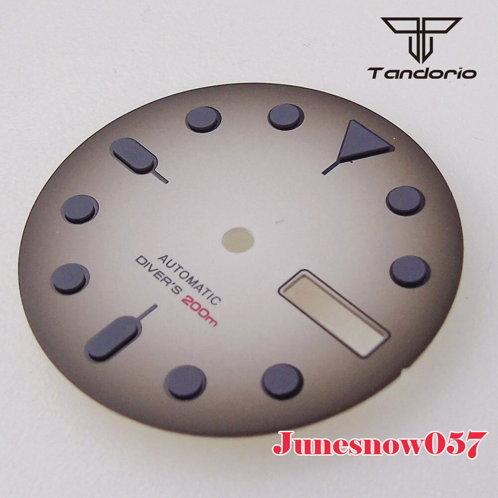 29MM Sterile Vintage Black White Men Watch Dial Accessories Parts Fit NH36 NH36A