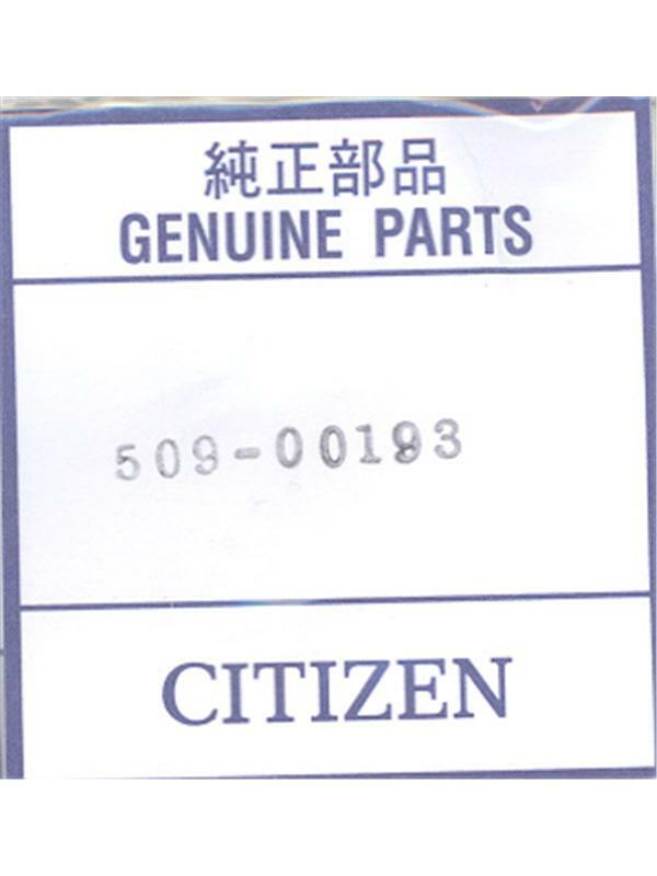Citizen Unisex Silver Tone Stainless Steel Springbar 509-00193