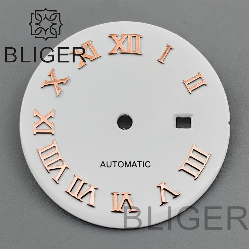 24.5mm Roman Numerals Sun Pattern Watch Dial Date Fit NH05 06 Movement
