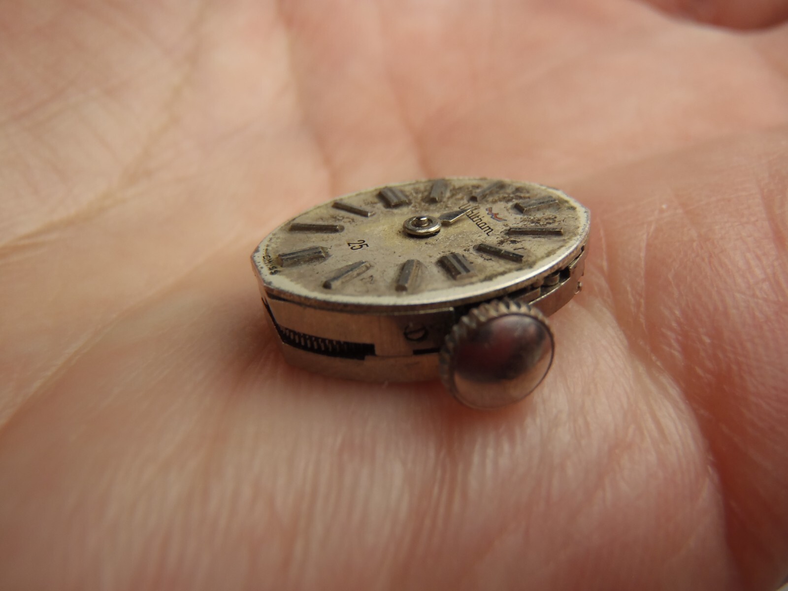 WALTHAM 25 Jewel Manual Winding Movement Running